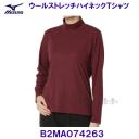 ~Ym MIZUNO E[Xgb`nClbNsVc  OX[u B2MA074263 ^Ej[|[gbh p fB[X /30%OFF