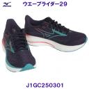 ~Ym MIZUNO jOV[Y J1GC250301 EG[uC_[29 _[NlCr[~u[~sN /2025FW
