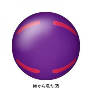 j`[ NICHIYOy2025FWzXgCN{[EC GG72yOEhSt{[z