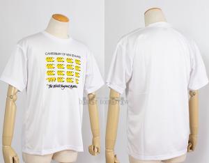 J^x[ canterbury y30%OFFztbNXN[Rg[ TVcij RA325143 10 zCg