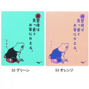 �~�Y�m MIZUNO �X�C���^�I�� N2JYB506 �Z�[���^�I�� ��34�~��44cm ���ƂɃJ�G�� �^ ���j ���j /2024FW