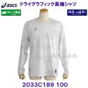 �A�V�b�N�X ASICS �h���C�O���t�B�b�N�����V���c �����O�X���[�uT�V���c 2033C189 100 �u�����A���g�z���C�g/2026FW