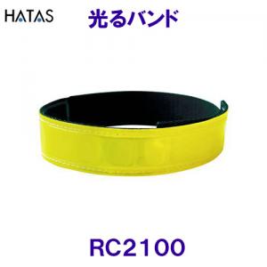 n^HATASy2023SSzoh RC2100