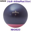n^` HATACHI W{[StayPlus 55cm NH3620 g[jO  ̊ NVO[N/2023SS