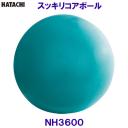 n^` HATACHI XbLRA{[ NH3600 g[jO  ̊ NVO[N/2023SS