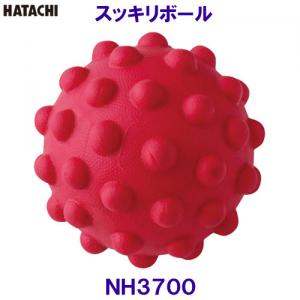 n^` HATACHI XbL{[ NH3700 g[jO  NVO[N /2023SS